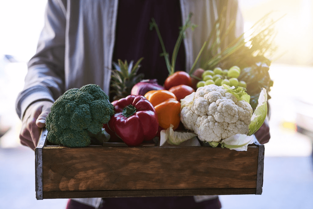 Consegna verdure biologiche modena